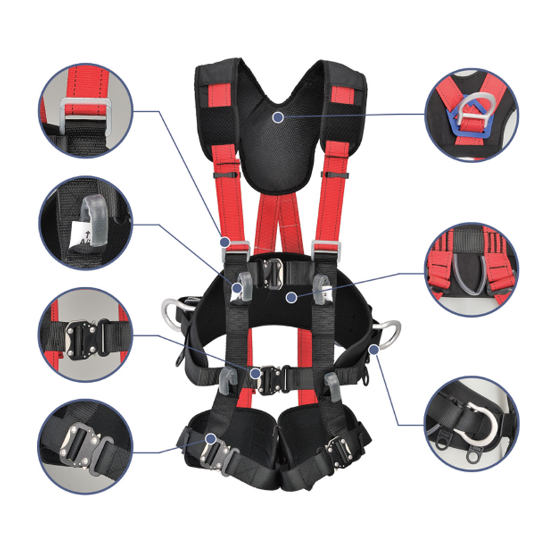 Ceinture de sécurité complète FP050